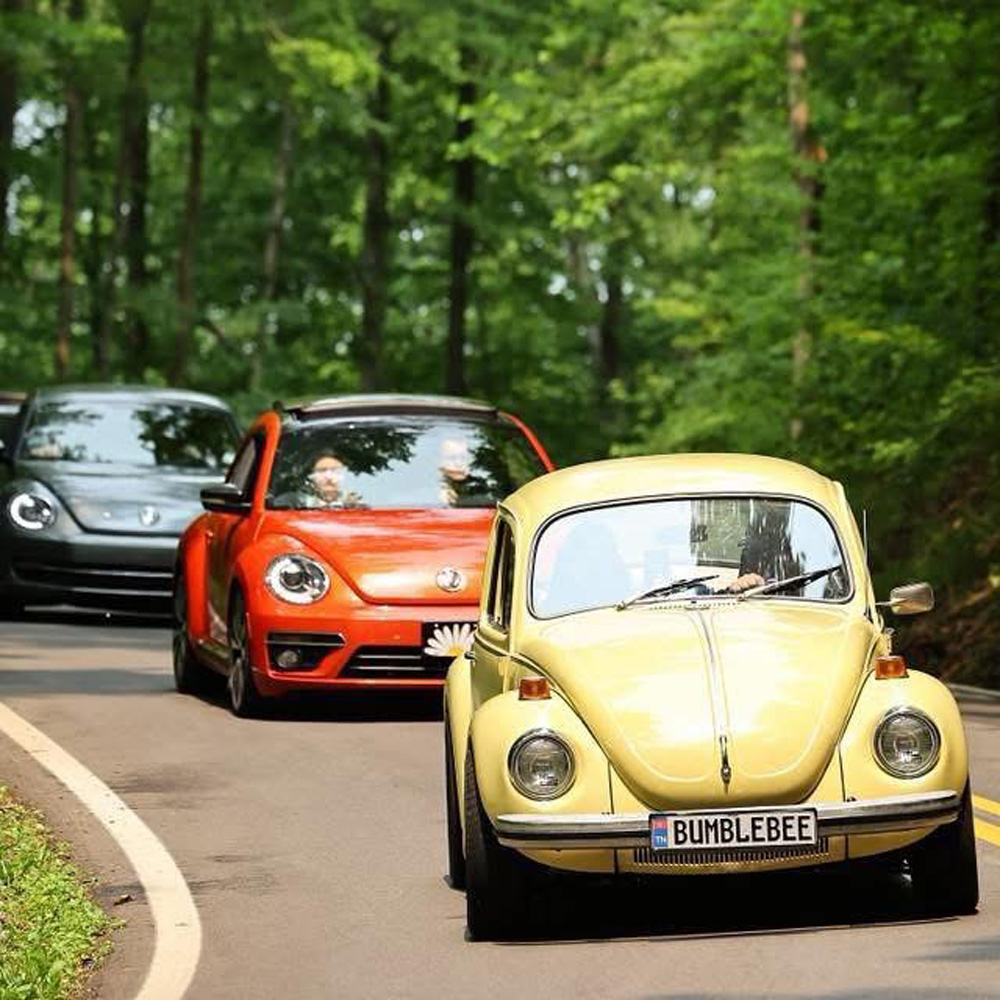 Super Beetle cruise with two other VWs