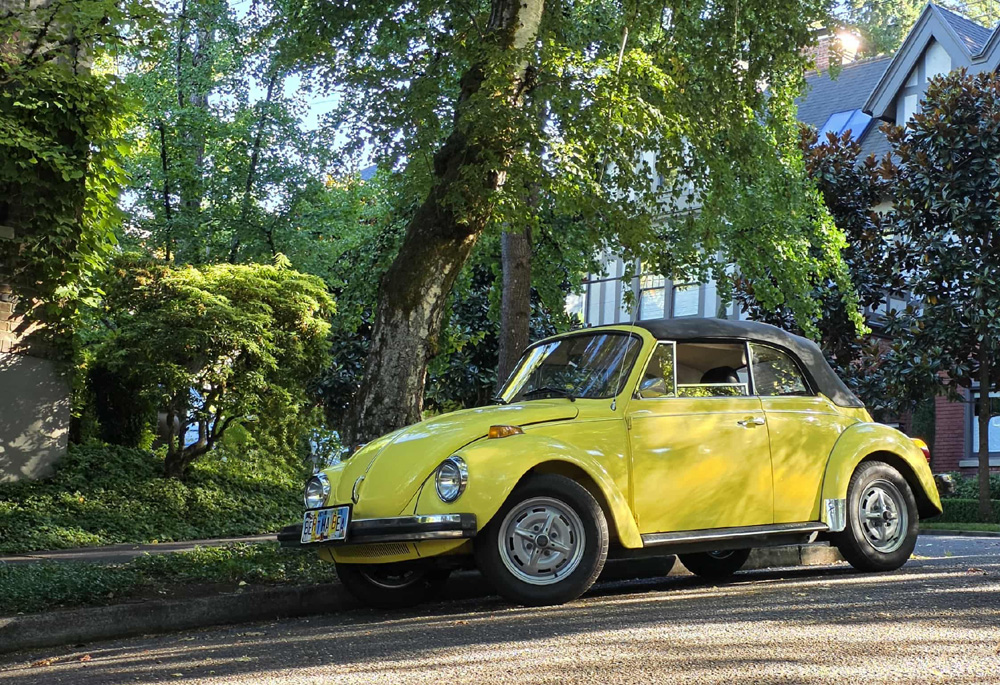 Yellow Volkswagen Super Beetle convertible 'Bertha Bea' with black top parked under trees in Oregon