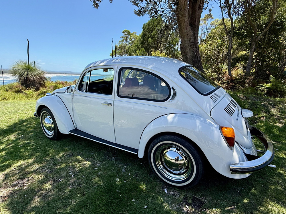 White Volkswagen Super Beetle parked on grass beside trees with the ocean in the background