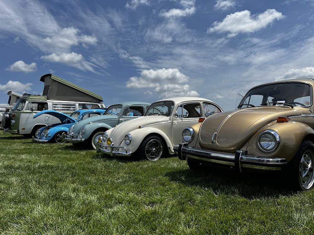 Row of vintage Volkswagens including Beetles and a camper van parked on a grassy field under a partly cloudy sky.