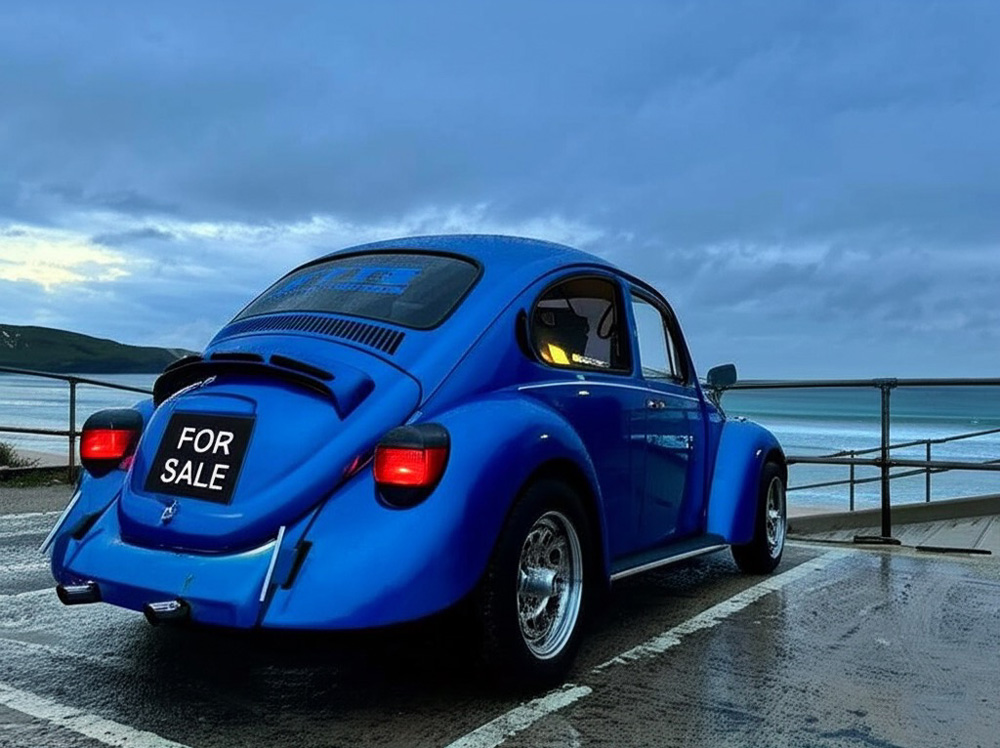 Buying a Super Beetle guide