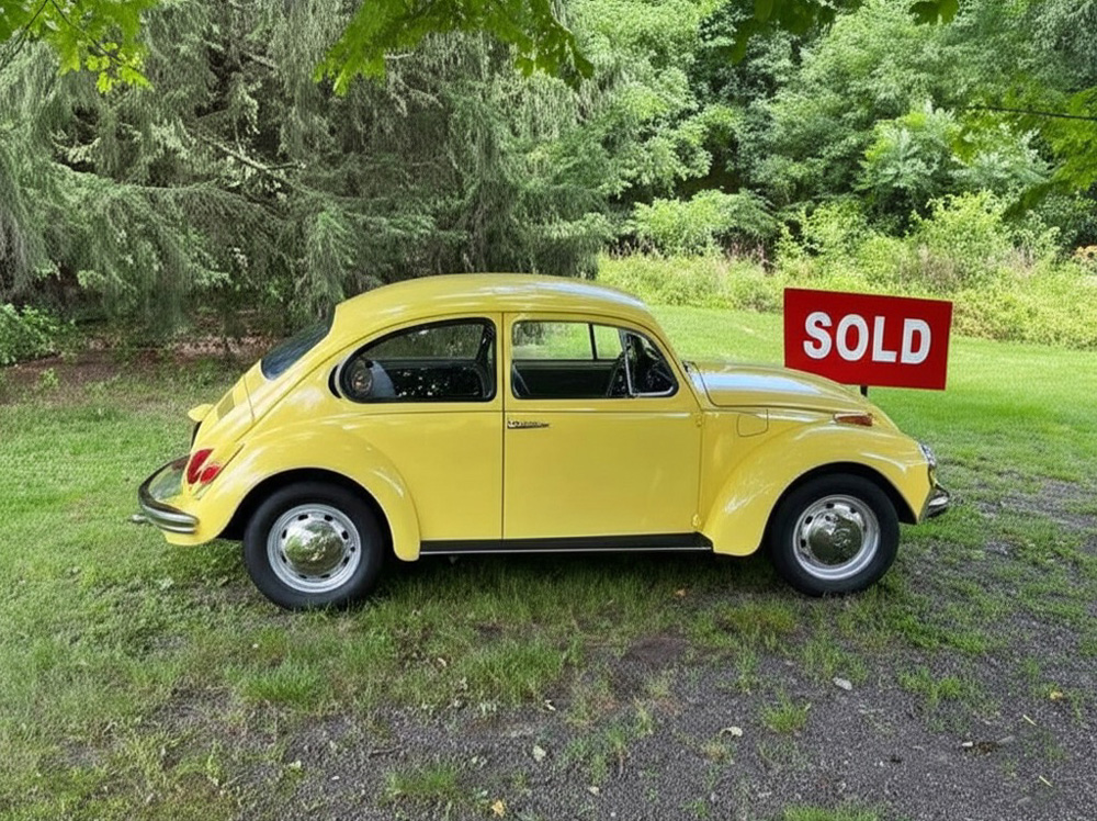 Buying a Beetle is an investment