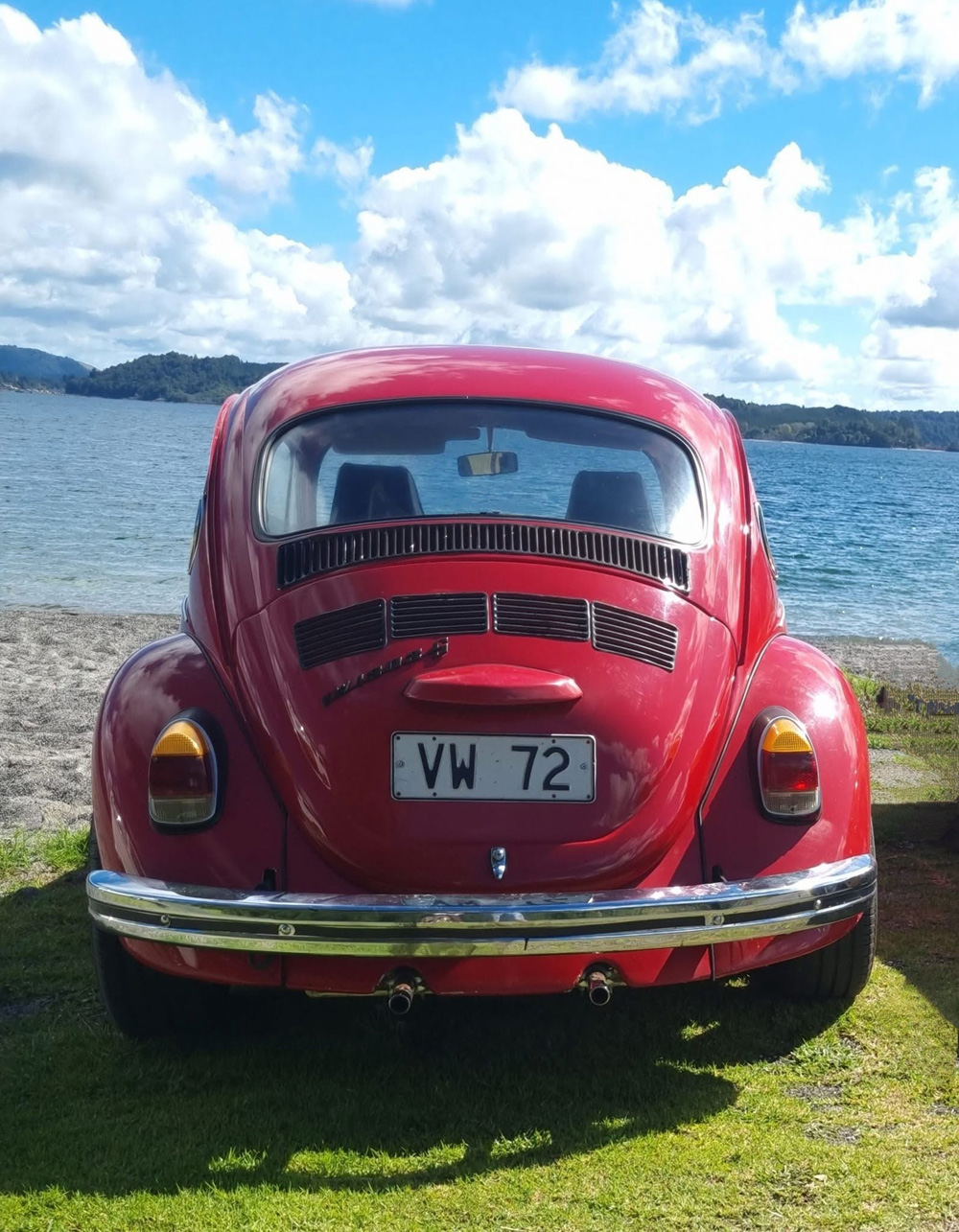 1303S Super Beetle by the lake