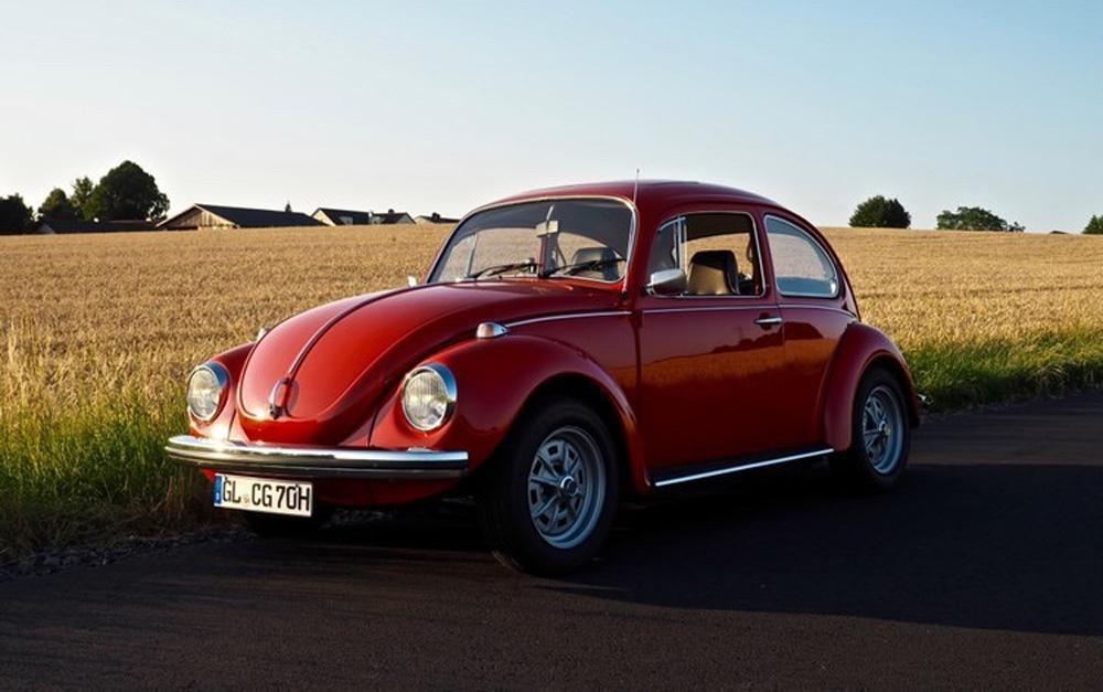 Super Beetle in a field of wheat