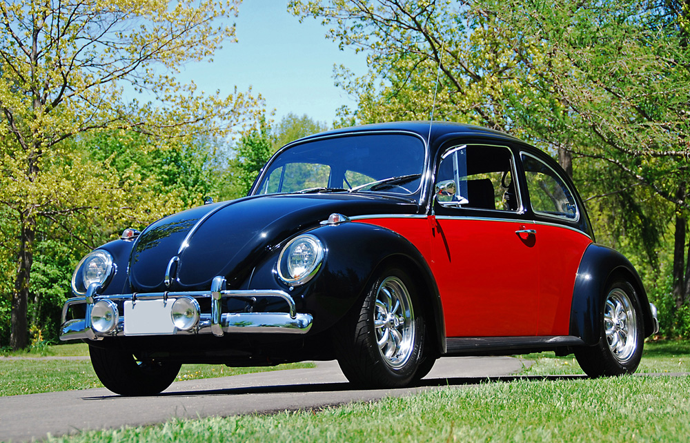 Red and Black Super Beetle from Canada