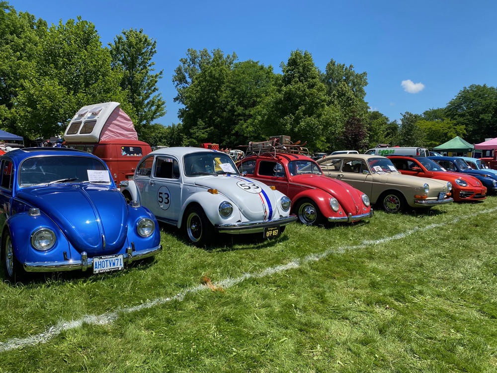 Lineup of classic Volkswagens on a grassy field at Germanaire under a clear summer sky