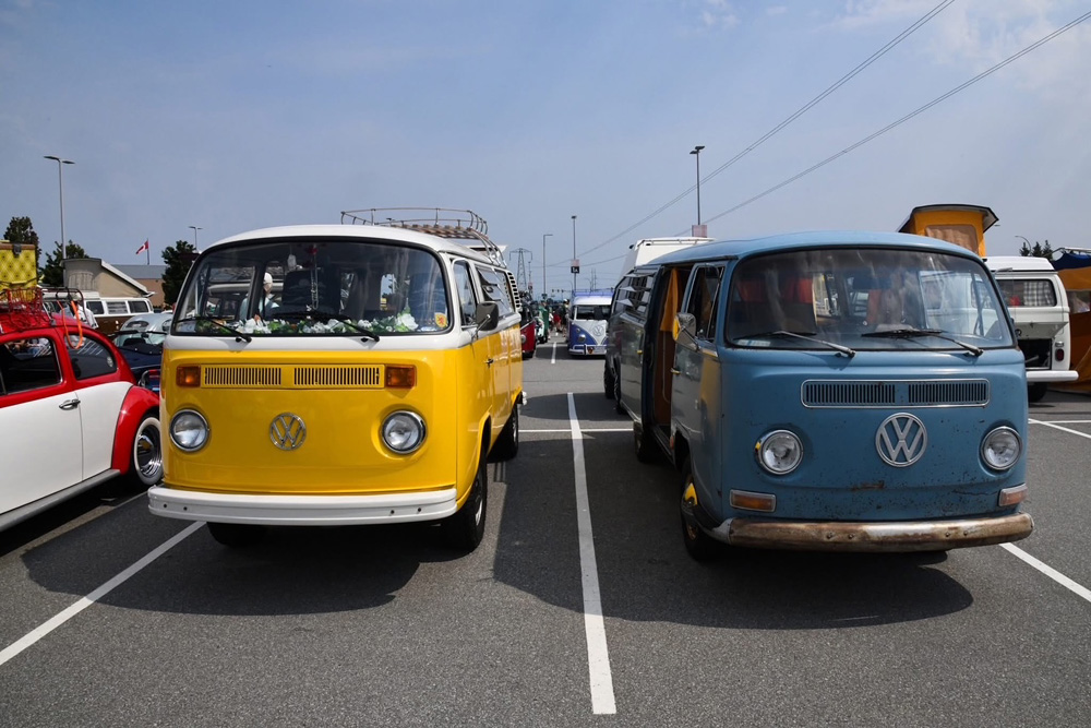 Yellow restored VW Bus parked beside a weathered blue VW Bus at a vintage Volkswagen gathering