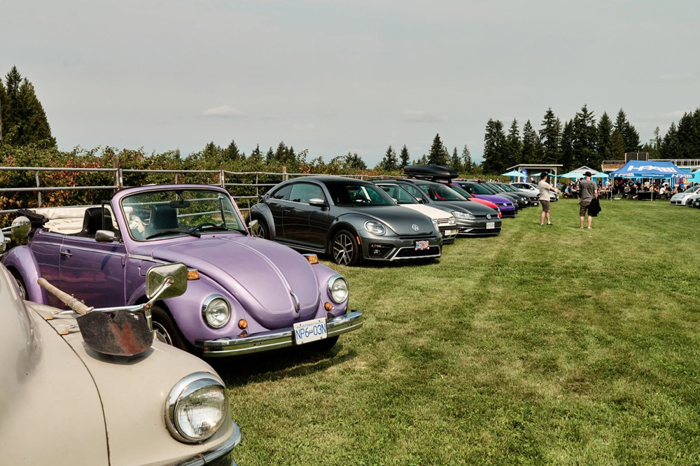 Purple Volkswagen Beetle convertible parked with modern Volkswagens on a grassy field at the event